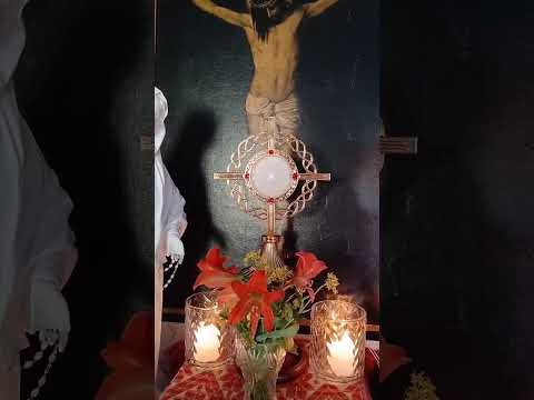 Adoracion Al Santisimo Sagramento del Altar con el Padre Fabian Esteban Oliva. 20/10/26