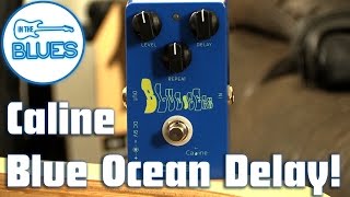 Video thumbnail for Caline Blue Ocean Delay Pedal Review by intheblues