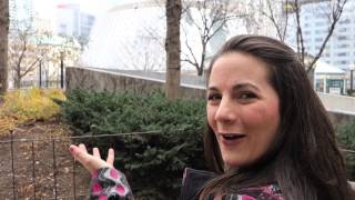 In Celebration of Universal Children's Day!