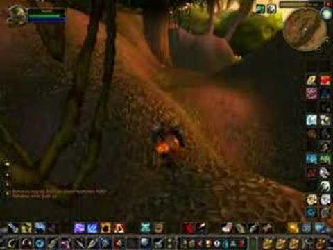 kaktus exploration: Booty bay alarmbell