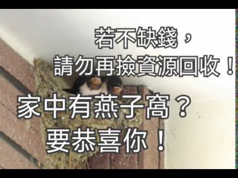 家裡有燕子窩