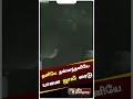 கோவையில் கிராமத்தில் ஜாலியாக சுற்றி�
