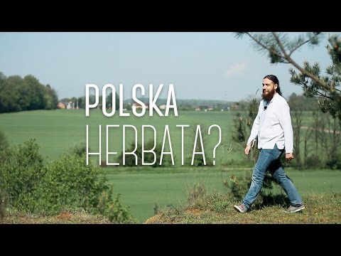 Czy przyczajony wpływa na potencję Napar z ziół do dobrej sile