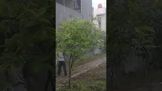 Download lagu Terajana, Rhoma irama, soneta, Forsa kereen. SSBMP, Rt01, tegalkrapyak, dusun sedan, 10/8/2023 mp3