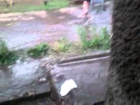 ziua de 27.07.2011.mp4