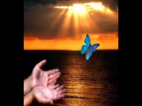 video clip voz da verdade borboleta