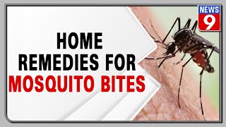 Treat mosquito bites the natural way