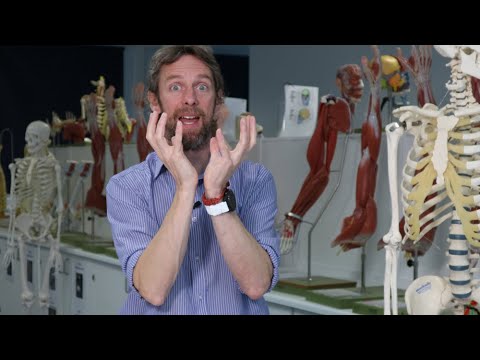 Male pelvic organs introduction