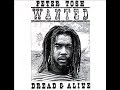 PETER TOSH - Guide Me From My Friends (Wanted Dread aND Alive)