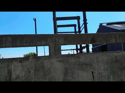 Ernesto Díaz, Alessandro Podestá, Guzmán Rivero y Fernando Cortizo - Marcha rancho