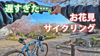 KONA ROVEで京都の名所、哲学の道へ桜を観に行くライド