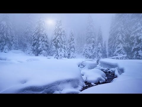 4K HDR Snowy Forest River - Winter Stream - Flowing Water - Sounds for Sleeping - White Noise - 8h