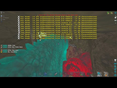 MTS Beginners Ep.4 - Rockwell and Raiding a Bear Cave