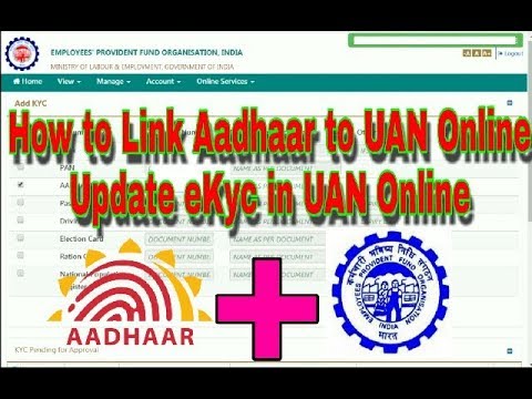 How to Link Aadhaar to UAN Online | Update eKyc Online UAN Online | Link Aadhaar to EPFO UAN Member Video