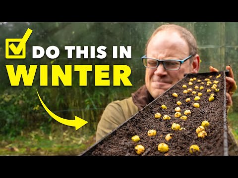 Gardening Masterclass Use my Month by Month Guide