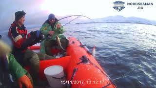 Рыбалка в ноябре на баренцевом море