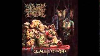 SEVERE TORTURE - Feeding On Cadavers