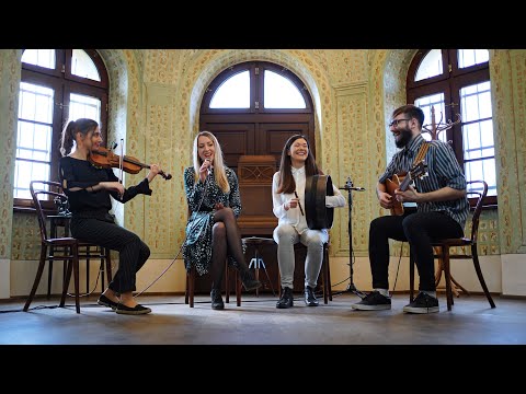 Gemini - Irish Music - Star of the County Down // Morrison´s Jig