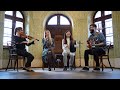 Gemini - Irish Music - Star of the County Down // Morrison´s Jig