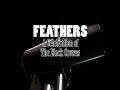 Feathers, A Celebration of The Black Crowes Promo EPK