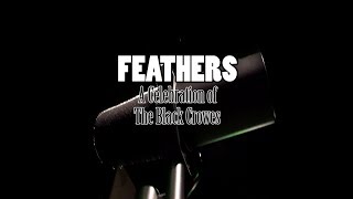 Feathers, A Celebration of The Black Crowes Promo EPK