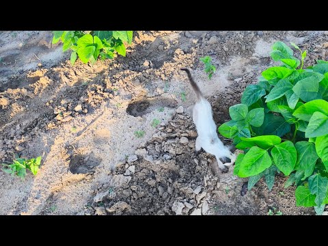 O Sertão tá lindo em Dormentes Pernambuco 