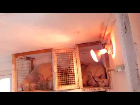Настройка таймера Sin Timer TM-615