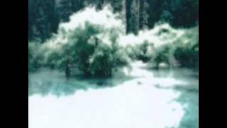 Arc Of Doves - Arabesque