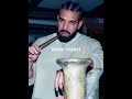 Drake- Massive (sped up)