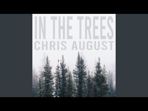 Thumbnail for In The Trees video