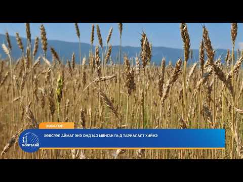 Хөвсгөл аймаг энэ онд 14.3 мянган га-д тариалалт хийнэ