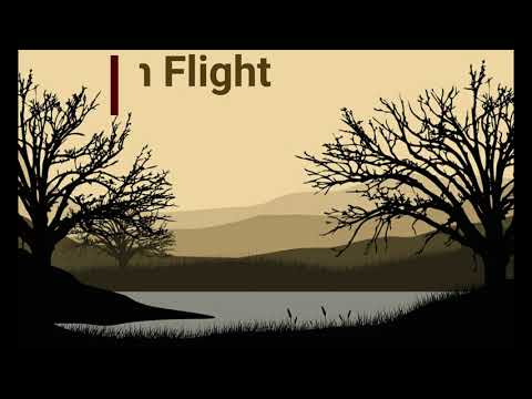 Sony A7RIV - My camera setup for Bird photography, stationary & Birds In Flight (BIF)