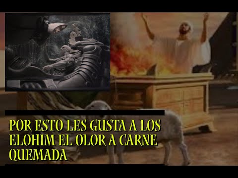 POR QUE PEDIAN LOS ELOHIM HOLOC4USTOS DE CARNE QUEMADA