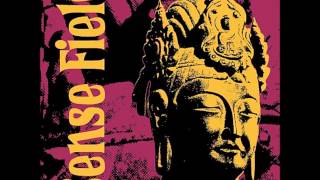 Sense Field Trip Poem live NYC (Audio Only)