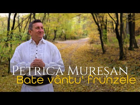 Petrică Mureșan – Bate vântu' frunzele | Cântec de dor și dragoste (Videoclip Oficial)