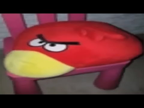 🔴 GATA DE SCANDAL GATA DE SCANDAL