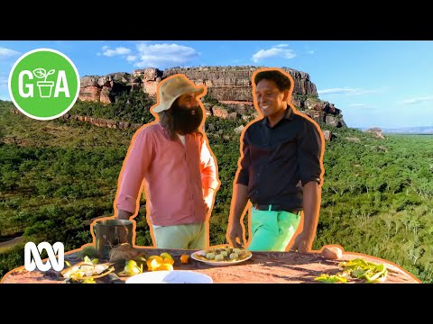 Kakadu Kitchen Garden Making Bush Tucker | Discovery | Gardening Australia