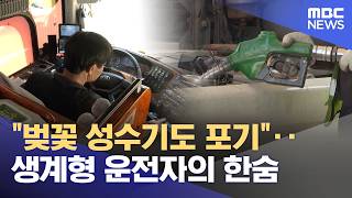 벚꽃 성수기도 포기‥생계형 운전자의 한숨 (2026.04.14/뉴스투데이/MBC)