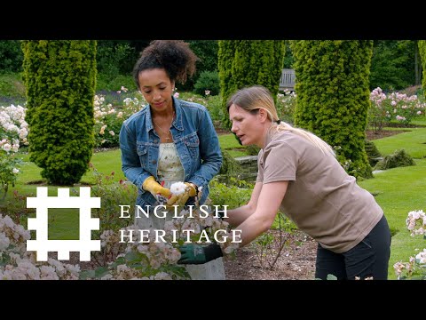 歷史上的花園｜第三集：埃爾瑟姆宮花園 (Gardens Through History | Episode 3: Eltham Palace Gardens)