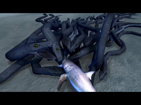 NEW SHARK Vs GIANT TITANOBOA SNAKE!!!  | Beast Battle Simulator Gameplay | Ep3