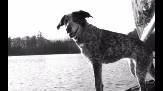 Mat McHugh - Under the Landslide (Letra)