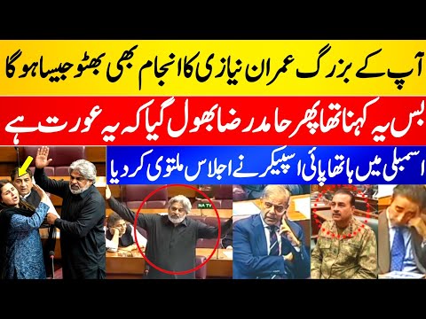 Sahibzada Hamid Raza Returns to Assembly After Release, Reaffirms Support for Imran Khan
