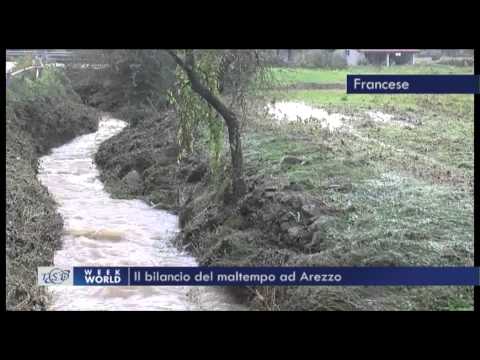 TSD Week World - 26.10.2013