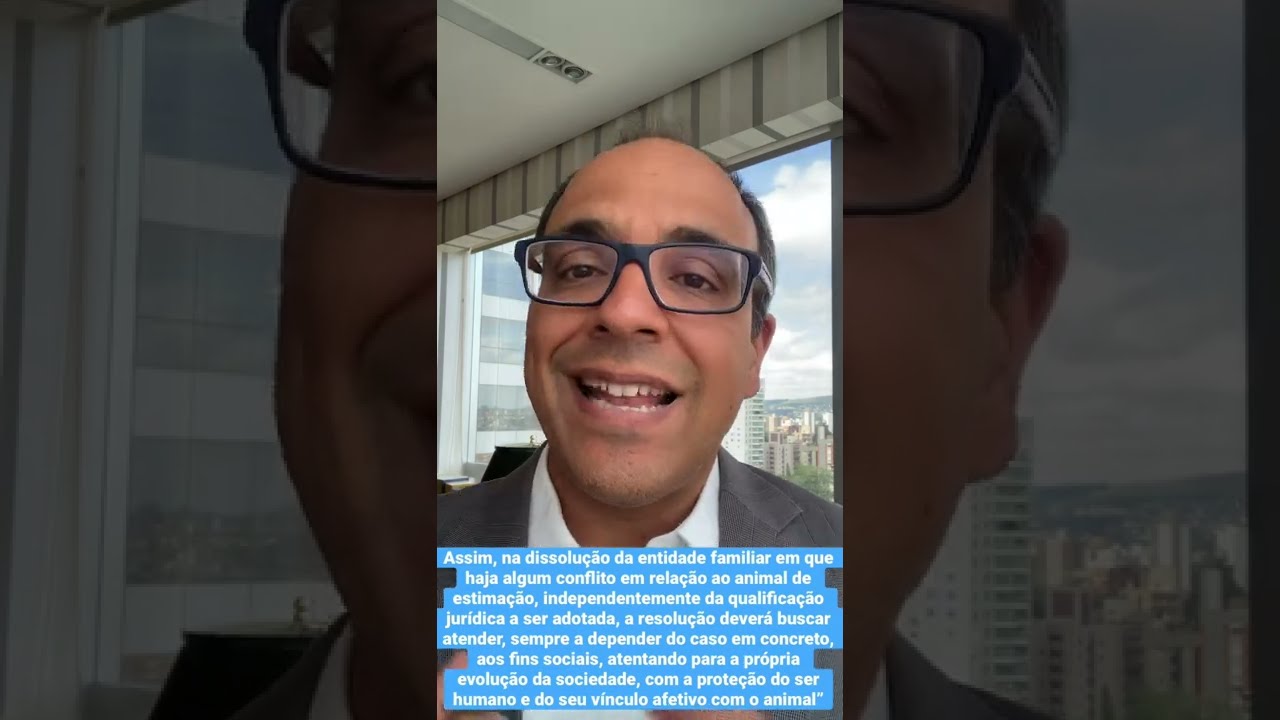 STJ: Divórcio: direito de visitas ao “animal de estimação”? (REsp 1713167/SP)