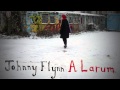 Johnny Flynn - Leftovers