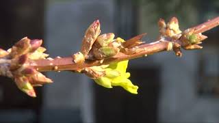 TERMÉSZETVÉDELEM HATÁROK NÉLKÜL - 34. adás