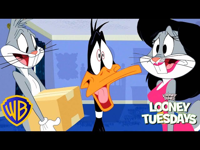 Vídeo relacionado con Warner Bros - Juego de sábanas para Cama Individual Looney Tunes