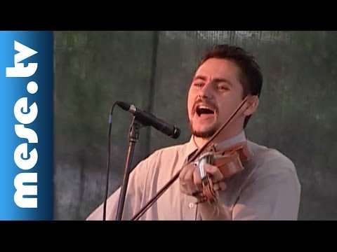 Kolompos együttes: Tekeredik a kígyó (dal, tánc, gyerekek) | MESE TV