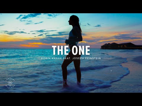 Robin Knaak - The One (Lyrics) ft. Joseph Feinstein