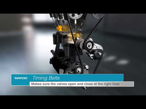 Dayco - Timing Belt Replacement and Awareness